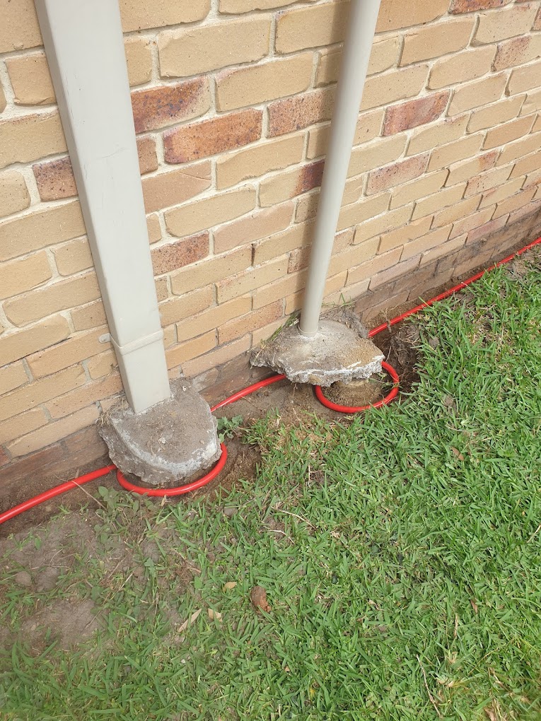 blue-gum-2 blue-gum-2